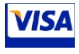 VISA LOGO.jpg